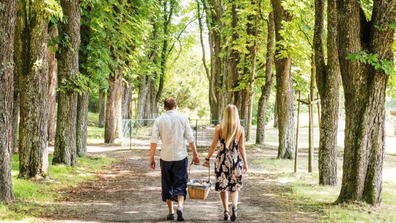 Geomantische Allee, © Schloss Artstetten/D. Mayrhofer