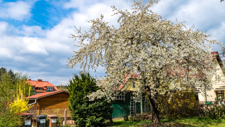 Natur im Garten, © Fotograf Gernot Unfried