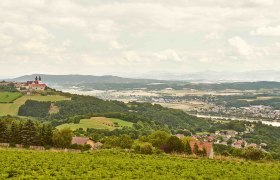 Aussicht auf Maria Taferl und das Donautal, © Klaus Engelmayer