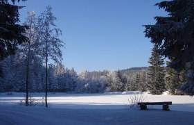 Hanslteich Gutenbrunn, © © Gustl Marschall sen.