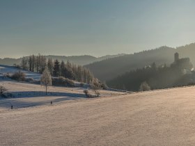 Rappottenstein, © Waldviertel Tourismus, Studio Kerschbaum