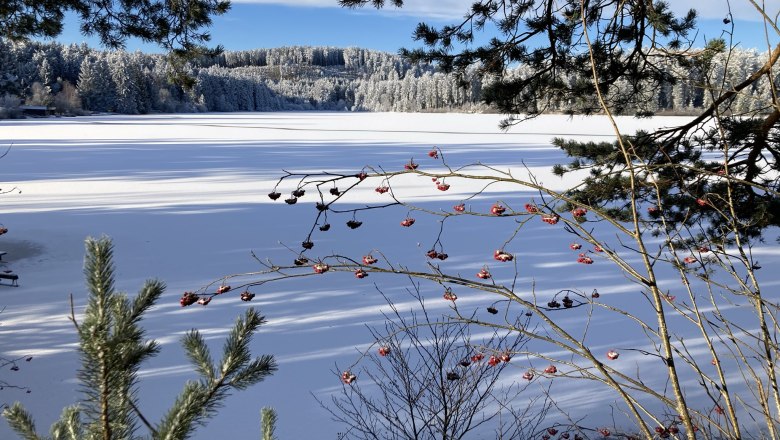 Winter im Waldviertel, © Dieter Juster